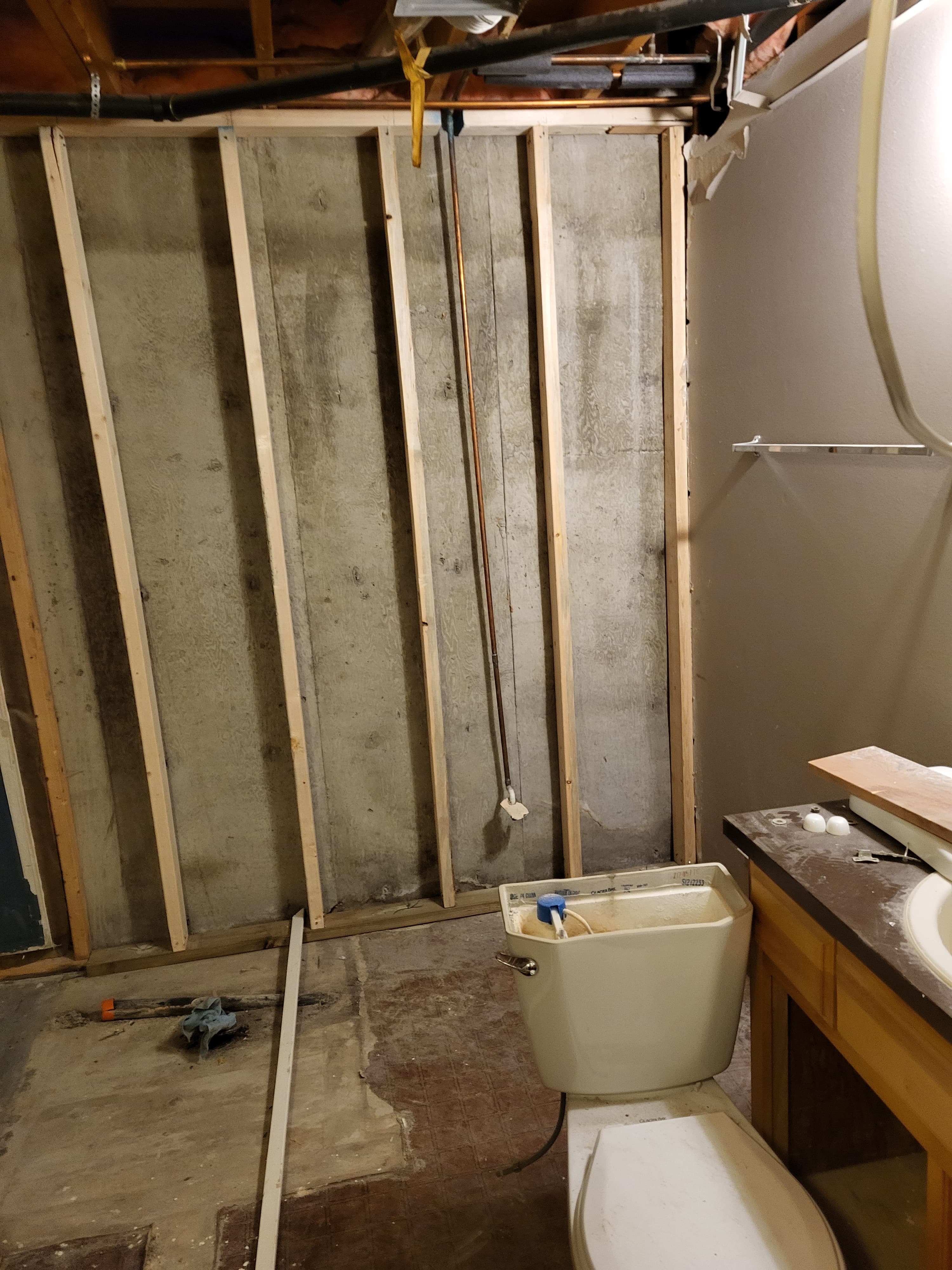 Bathroom Remodel - Before